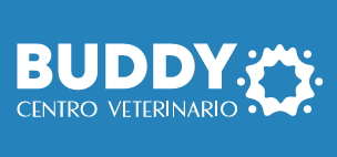 Buddy Centro Veterinario
